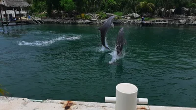 Ciudad Aventuras - Photo 5