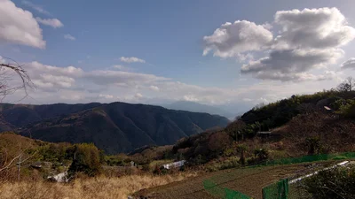 Mima - Photo 2