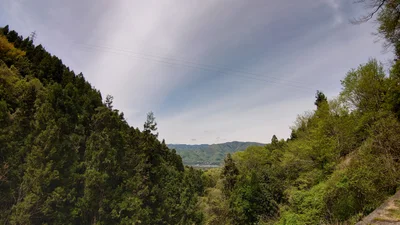 Mima - Photo 5