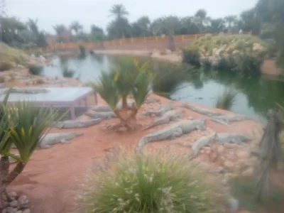 Drarga - Photo 3