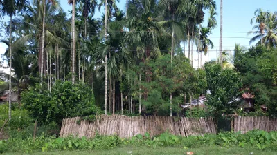 Thong Pha Phum - Photo 4