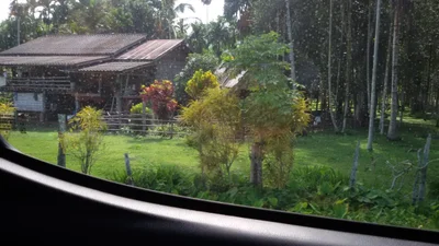 Thong Pha Phum - Photo 5