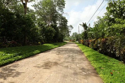 el Sendero del Cacao - Photo 5