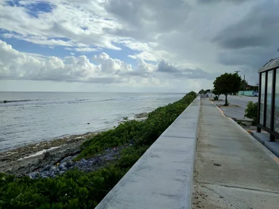 Gun Bay - Photo 3