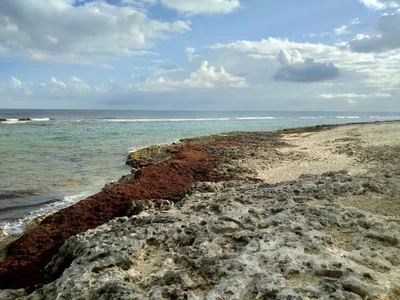 Gun Bay - Photo 4