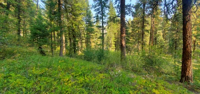 Mountain Home - Photo 3