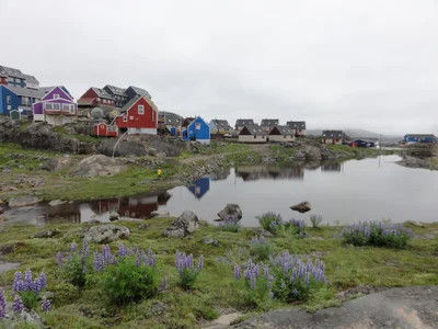 Qaqortoq - Photo 3