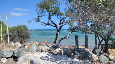 Bahia Ballena - Photo 2