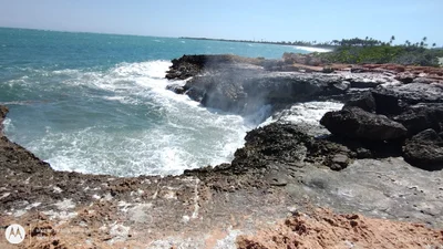 Bahia Ballena - Photo 3