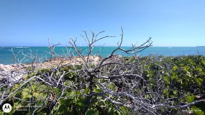 Bahia Ballena - Photo 4
