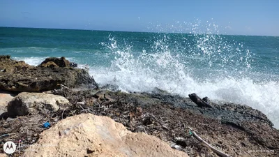 Bahia Ballena - Photo 5