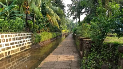 Kelshi - Photo 2
