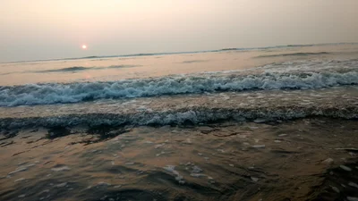 Kelshi - Photo 5