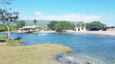 Alligator Pond - Photo 5