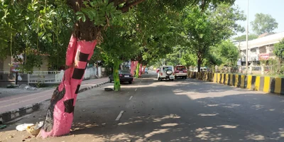 Karad - Photo 3