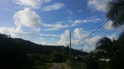 Parham - Photo 3