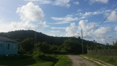 Parham - Photo 4