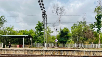 Pernem - Photo 5