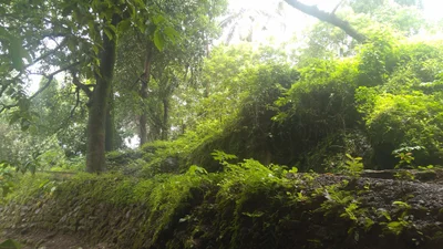 Sankhali - Photo 3