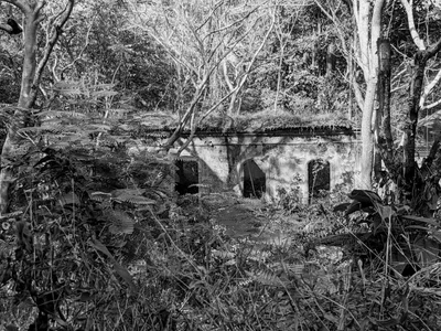 Sangolda - Photo 2