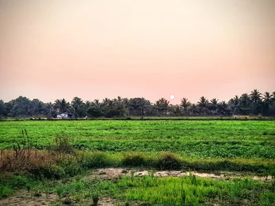 Sangolda - Photo 4