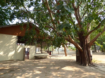 Ban Lao - Photo 4