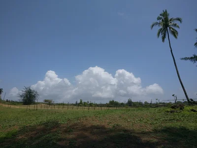 Talpona - Photo 2