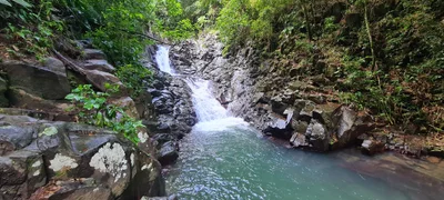 Le Carbet - Photo 5