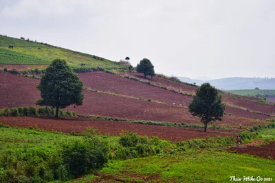 Kalaw Township - Photo 2