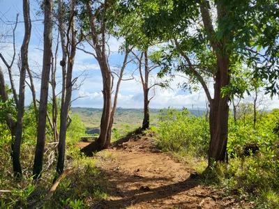 Yona Municipality - Photo 5