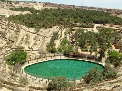 Nefta - Photo 5