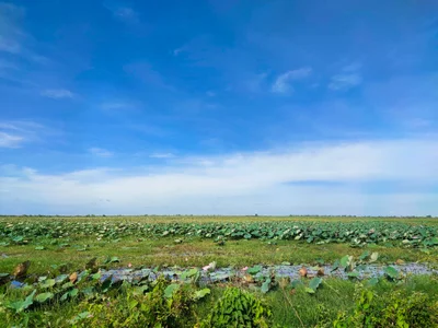Stueng Saen - Photo 5