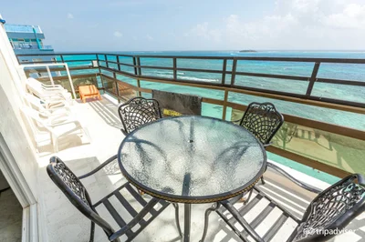 Sheylla's Place - Photo 3