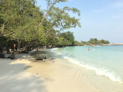 Ao Wai - Photo 3