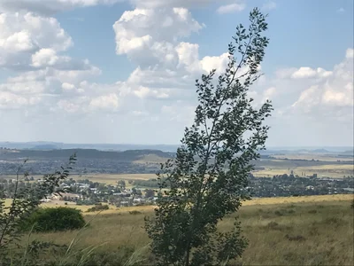 Mantsopa Local Municipality - Photo 3