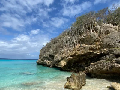 Grote Knip - Photo 2