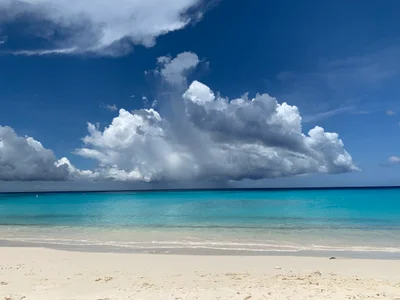 Grote Knip - Photo 3