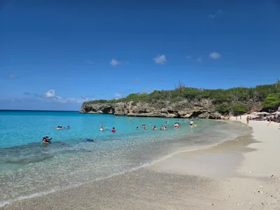 Grote Knip - Photo 4