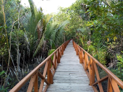 North and Middle Andaman - Photo 2