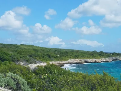 Rincon - Photo 2