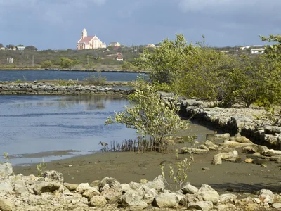 Sint Willibrordus - Photo 3