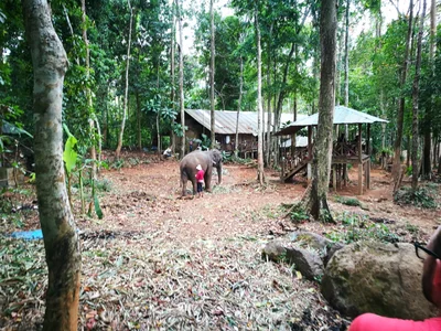 Baan Klong Son - Photo 3