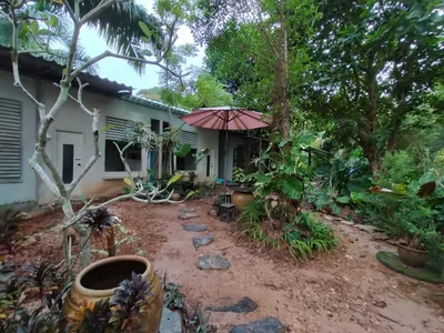 Baan Dan Mai - Photo 3