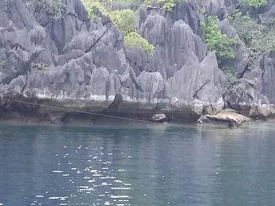 Coron - Photo 2