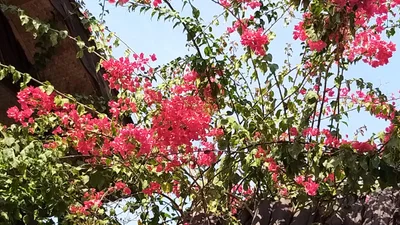 Govind Nagar - Photo 2