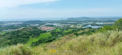Roxas - Photo 2