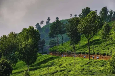 Udhagamandalam - Photo 5