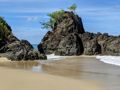 Black Rock - Photo 2