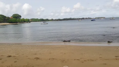 Buccoo - Photo 4
