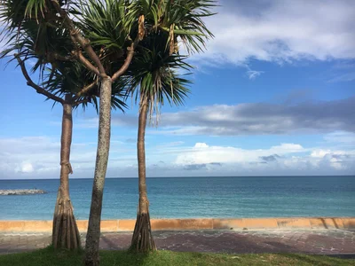 Chatan - Photo 4